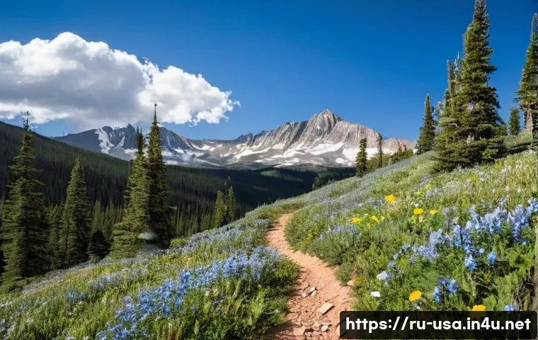 미국 자전거 여행 추천 루트 관련 이미지 2